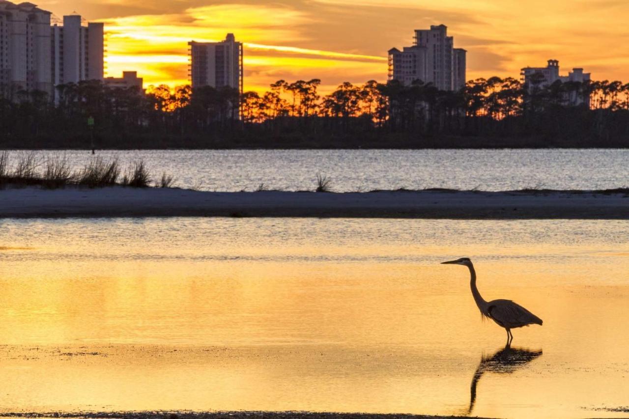 Resting Beach Face Pensacola Exterior foto